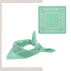 Custom Triangular Sublimated Bandana 15"×30.5" 100% Polyester Edge-to-Edge Print Promotional Event Scarf
