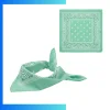 Custom Triangular Sublimated Bandana 15"×30.5" 100% Polyester Edge-to-Edge Print Promotional Event Scarf